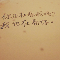 有些情绪只能用文字来诠释